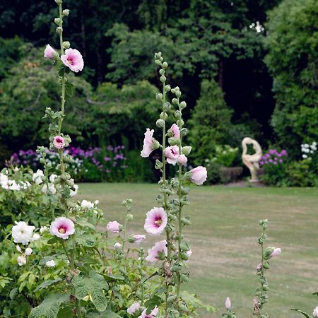 Karetu Downs Farm Stay Hawarden エクステリア 写真