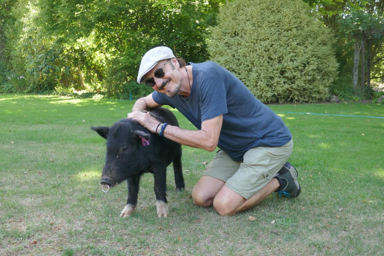 Karetu Downs Farm Stay Hawarden エクステリア 写真