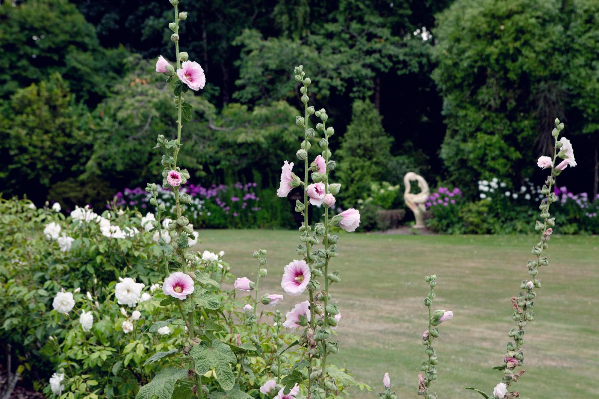 Karetu Downs Farm Stay Hawarden エクステリア 写真