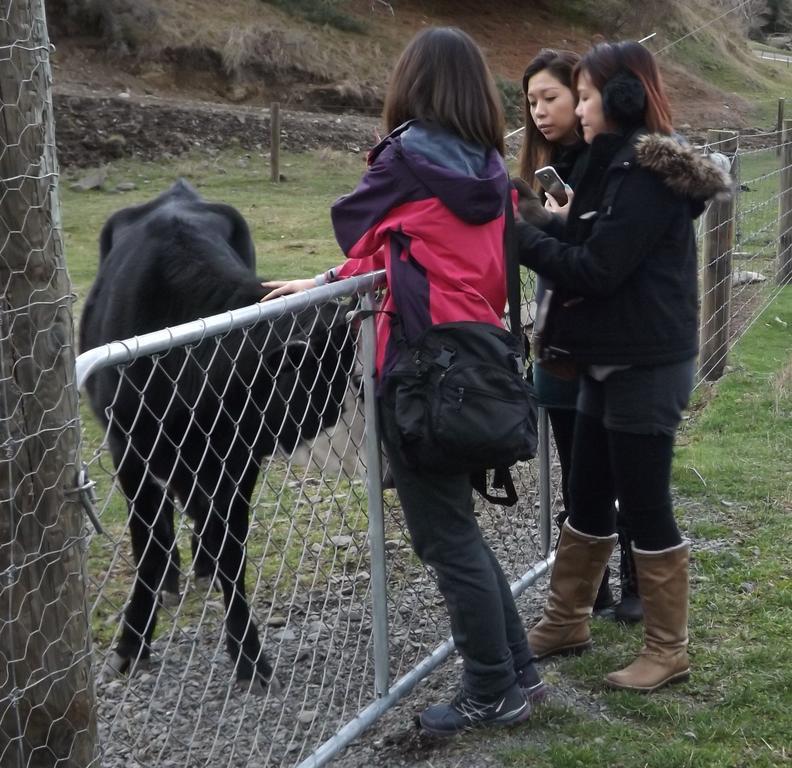 Karetu Downs Farm Stay Hawarden エクステリア 写真