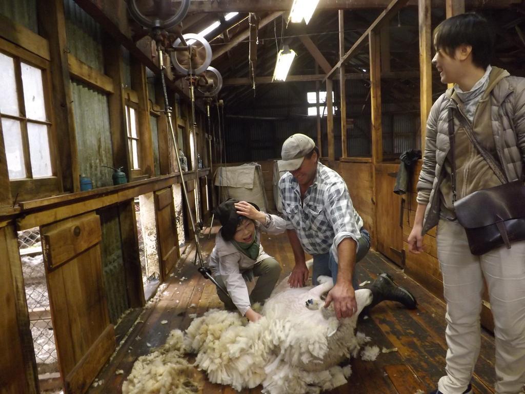 Karetu Downs Farm Stay Hawarden エクステリア 写真