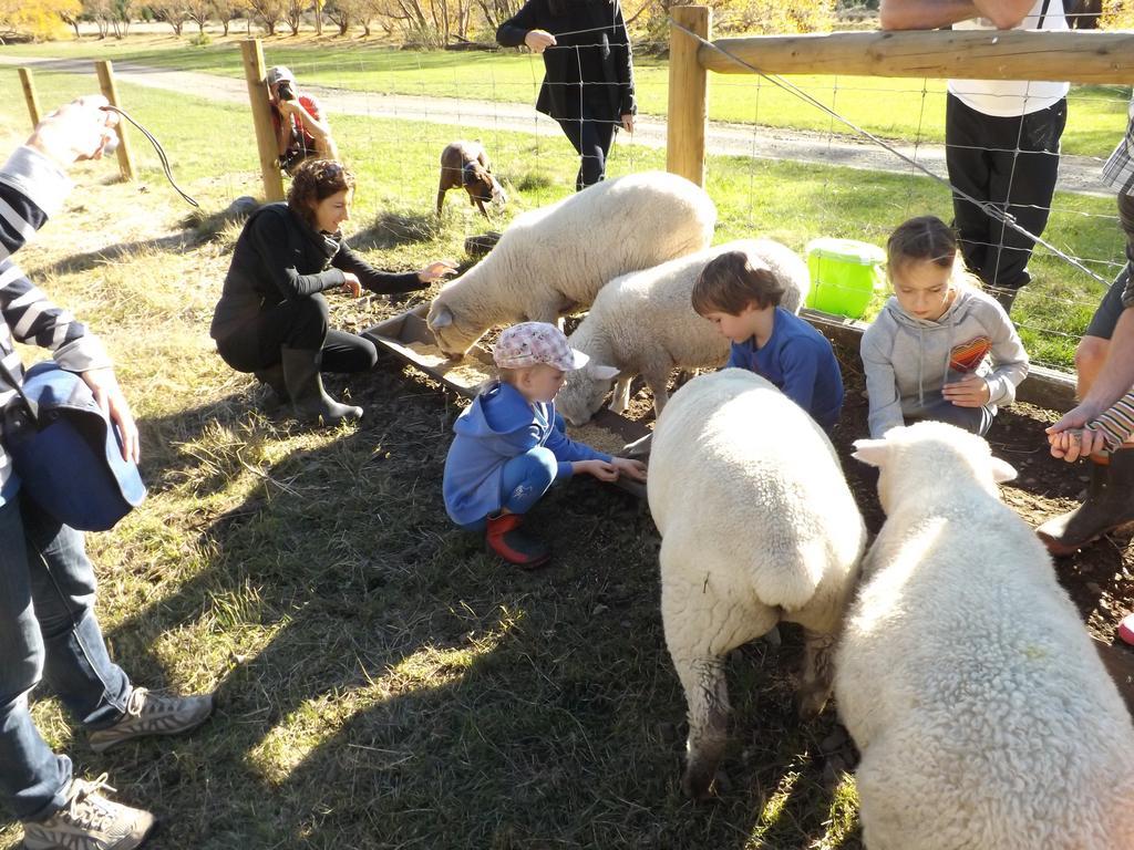 Karetu Downs Farm Stay Hawarden エクステリア 写真