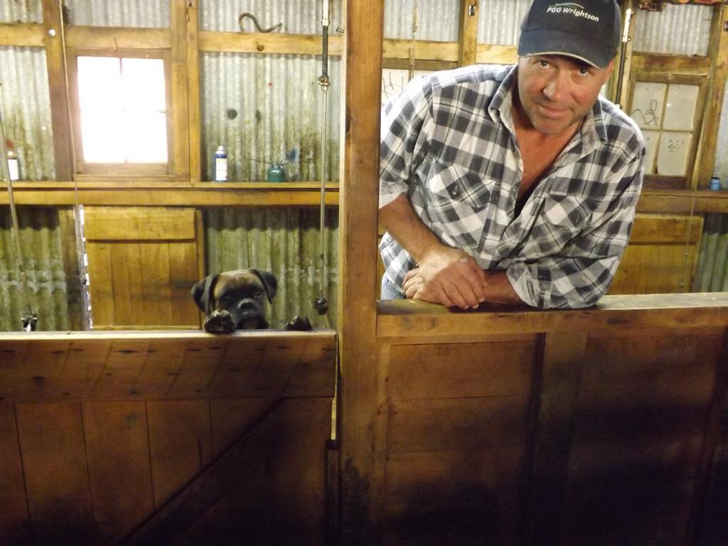 Karetu Downs Farm Stay Hawarden エクステリア 写真