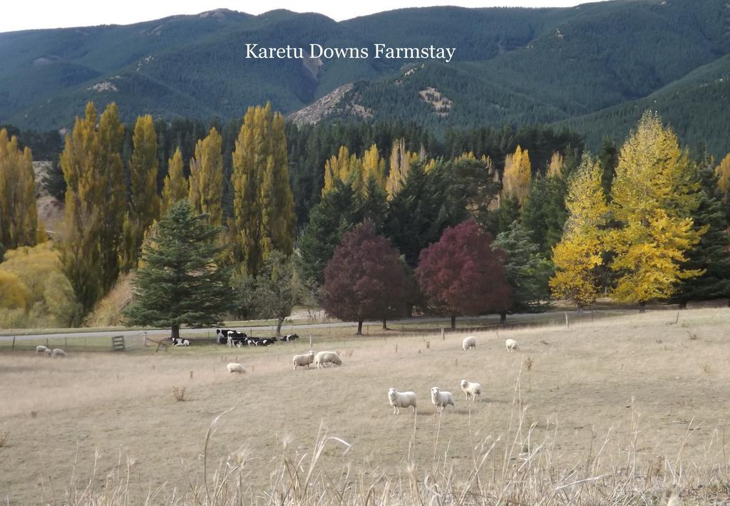 Karetu Downs Farm Stay Hawarden エクステリア 写真