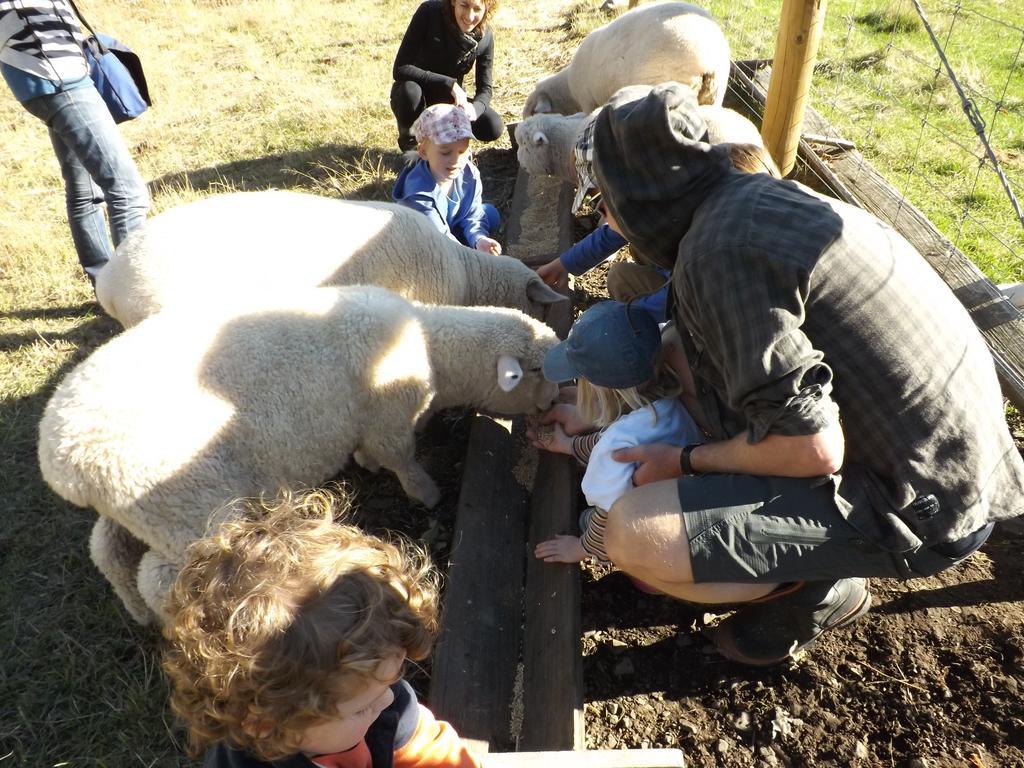 Karetu Downs Farm Stay Hawarden エクステリア 写真