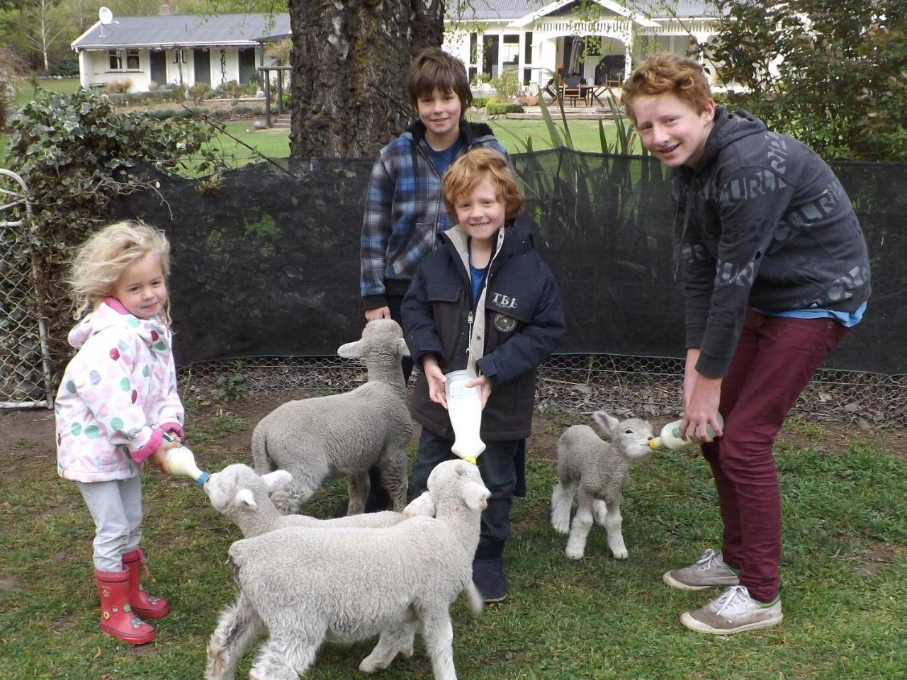 Karetu Downs Farm Stay Hawarden エクステリア 写真
